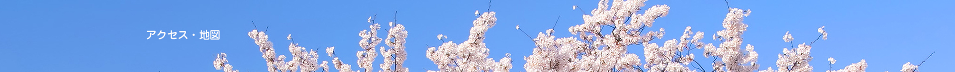 アクセス・地図