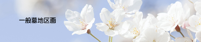 一般墓地区画