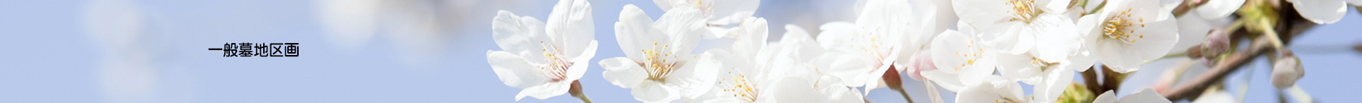 一般墓地区画