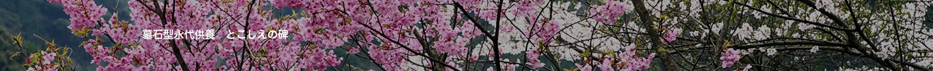 墓石型永代供養 とこしえの碑