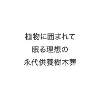 倉敷屈指の桜の名所 種松山で桜の下に眠る 理想の樹木葬