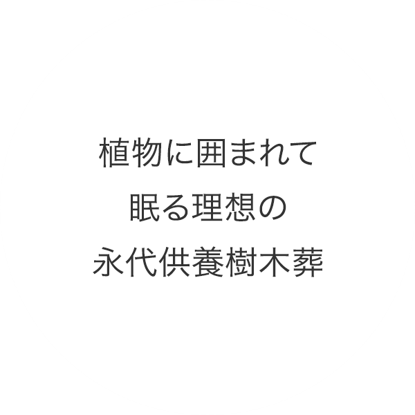 倉敷屈指の桜の名所 種松山で桜の下に眠る 理想の樹木葬